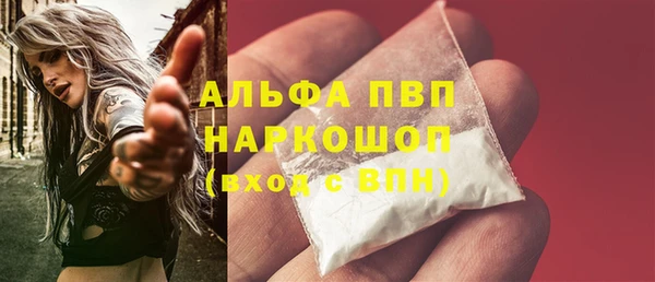 индика Дмитров