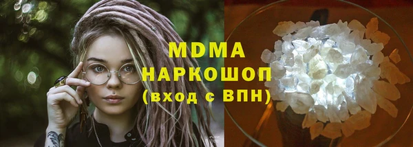 индика Дмитров