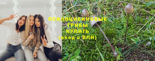 spice Дмитровск