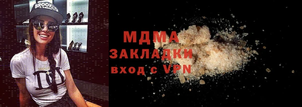 индика Дмитров