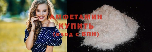 индика Дмитров