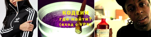 индика Дмитров