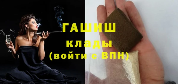 индика Дмитров