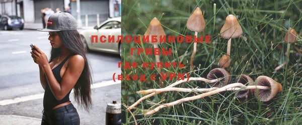 индика Дмитров