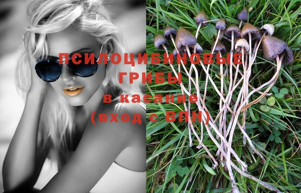 мяу мяу мука Бутурлиновка