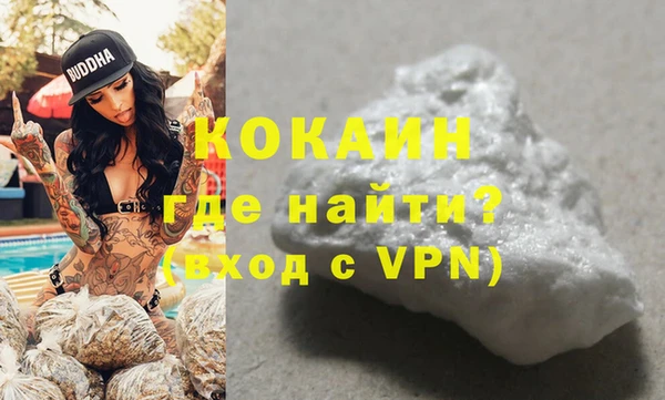 ПСИЛОЦИБИНОВЫЕ ГРИБЫ Дмитриев
