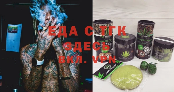 индика Дмитров