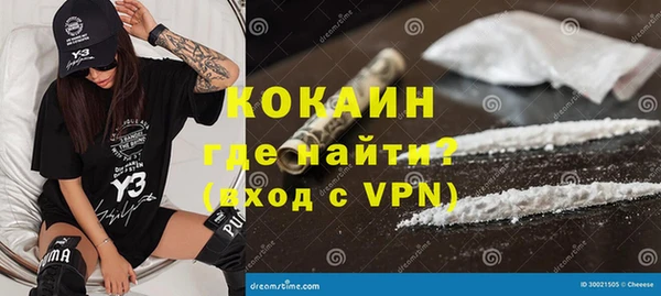 ПСИЛОЦИБИНОВЫЕ ГРИБЫ Дмитриев