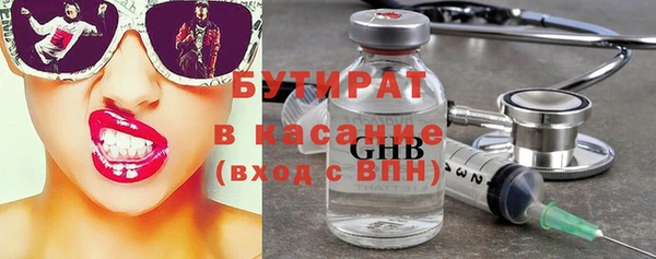 индика Дмитров