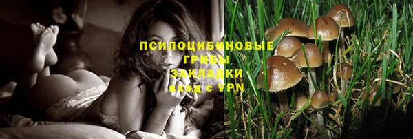 ПСИЛОЦИБИНОВЫЕ ГРИБЫ Дмитриев