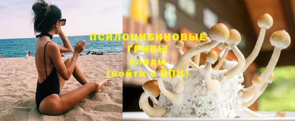 индика Дмитров